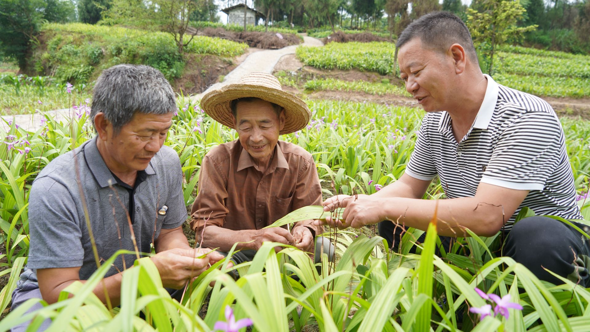 正在上传...