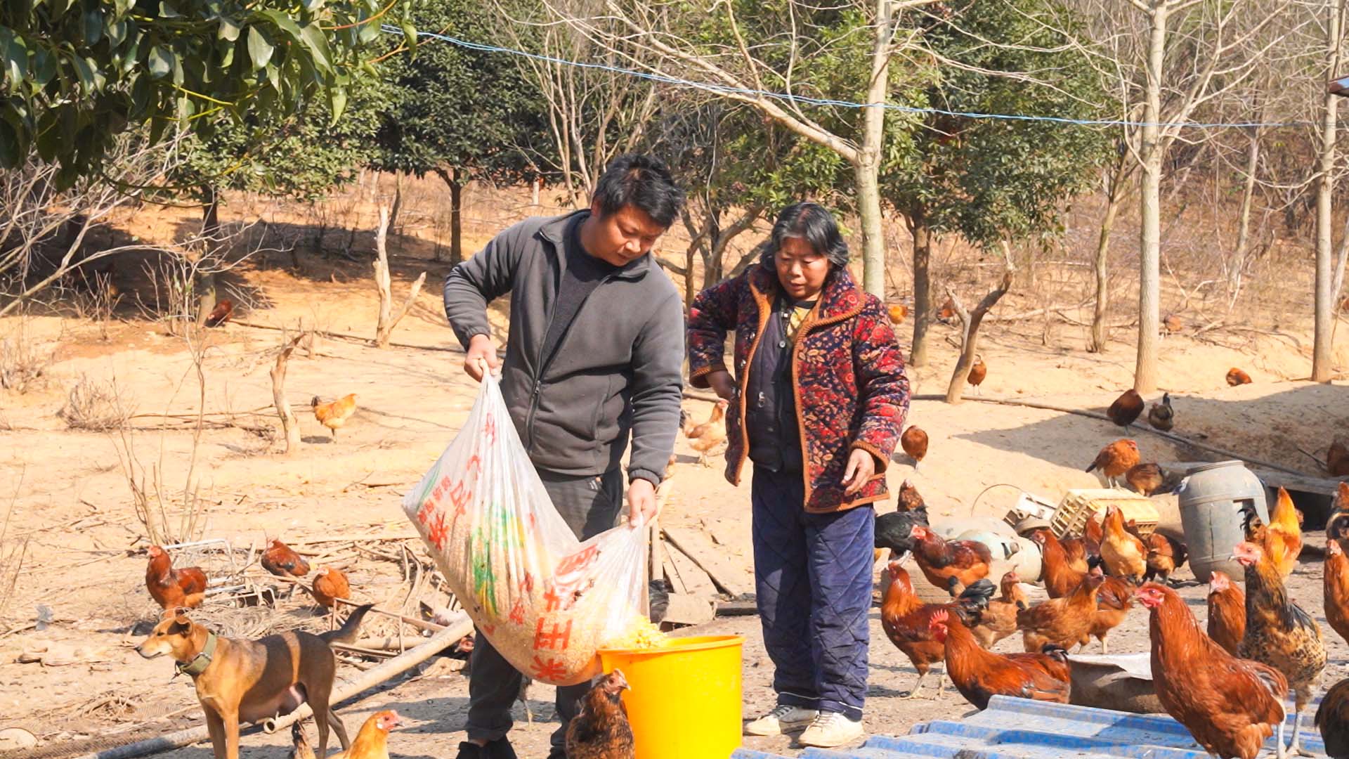 正在上传...