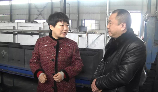 崇阳县政府-县委书记杭莺走访重点企业 共谋发展大计